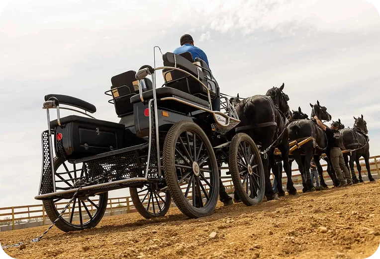 Dr. Kirk Mitchell gallery 2