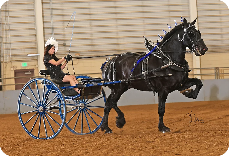 Makenna Helmuth gallery 1