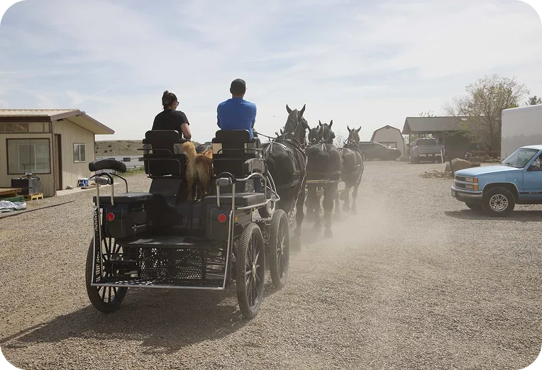 Wilbur Helmuth gallery 1